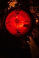 /album/octobre-rouge/octobre-rouge-chambre-des-torpilles-1-8211-jpg/